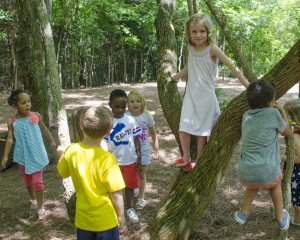 Preschool play in the forest